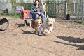 Afb_20170409w (2)